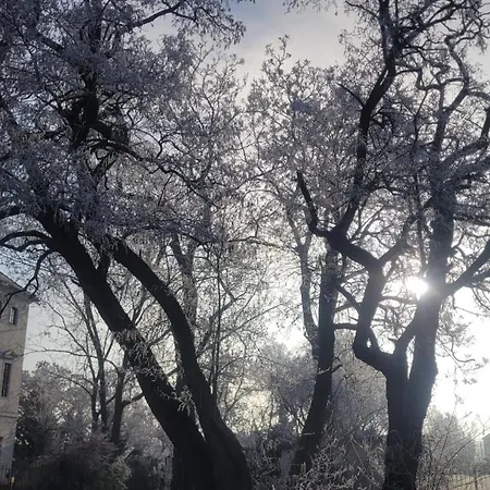 Appartement Antikhof Friebe Zschepplin