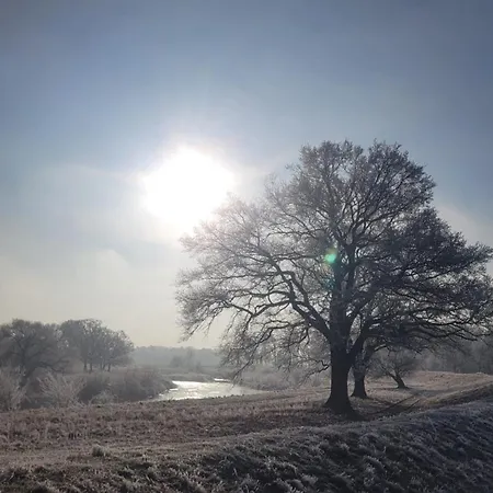Antikhof Friebe Appartement