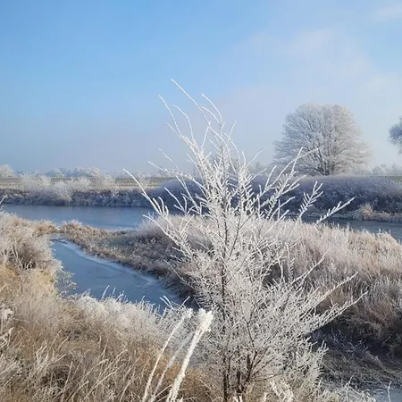 Apartment Antikhof Friebe