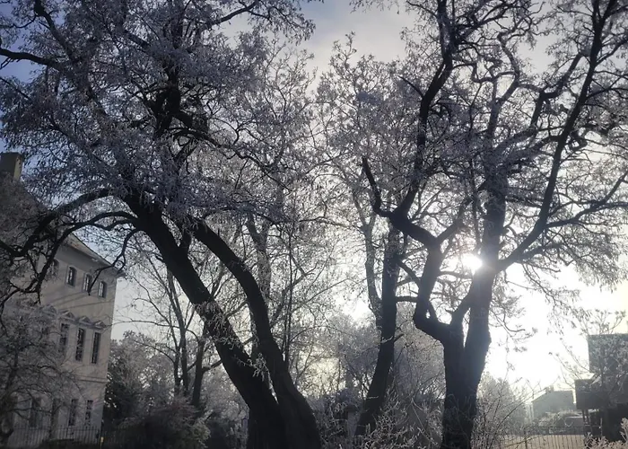 Apartment Antikhof Friebe Zschepplin