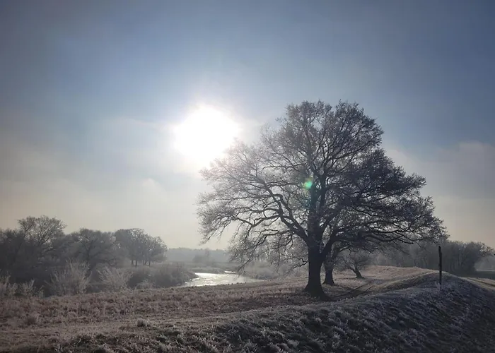 Antikhof Friebe Apartment
