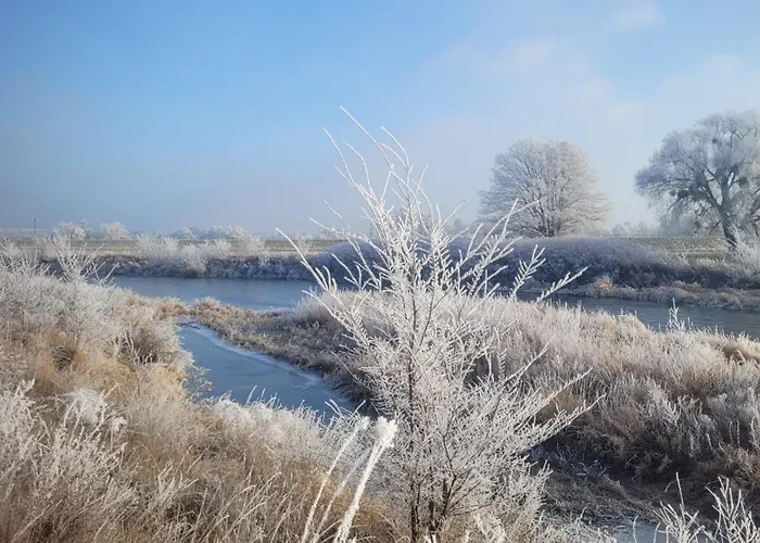 Apartment Antikhof Friebe