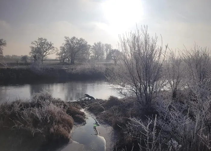 Antikhof Friebe Apartment *